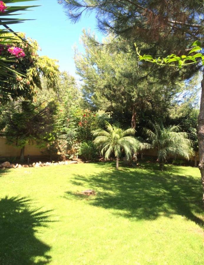 Villa Natalia Agia Napa Exterior foto